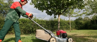 Le paysage et les espaces verts